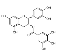 (-)-表兒茶素沒(méi)食子酸酯|1257-08-5 