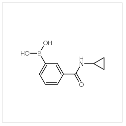 3-(環(huán)丙基氨甲?；?苯硼酸|850567-23-6 