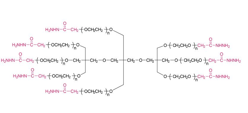 八臂聚乙二醇-酰肼,八臂PEG-酰肼8Arm-PEG-Hydrazide，8Arm-PEG-HZ 