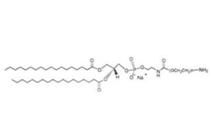 膽固醇聚乙二醇氨基，膽固醇PEG氨基Cholesterol-PEG-Amine，CLS-PEG-NH2 