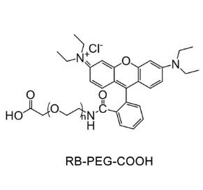羅丹明聚乙二醇羧基，羅丹明PEG羧基Rhodamine PEG Acid, RB-PEG-COOH 