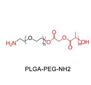 聚乳酸-羥基乙酸共聚物聚乙二醇氨基，聚乳酸-羥基乙酸共聚物PEG氨基PLGA-PEG-NH2，PLGA-PEG-Amine 