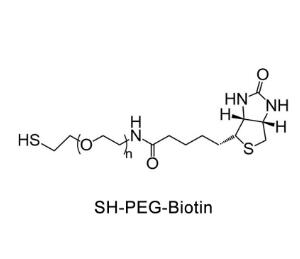 生物素聚乙二醇巰基，生物素PEG巰基Biotin-PEG-Thiol，Biotin-PEG-SH 