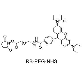 羅丹明PEG活性酯Rhodamine PEG NHS, RB-PEG-SCM；羅丹明聚乙二醇活性酯 