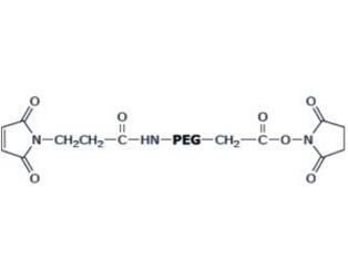 活性酯PEG馬來酰亞胺NHS-PEG-Maleimide，SCM-PEG-MAL；活性酯聚乙二醇馬來酰亞胺 