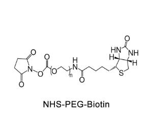 生物素PEG活性酯Biotin-PEG-NHS，Biotin-PEG-SCM；生物素聚乙二醇活性酯 