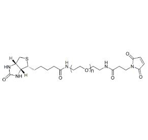 生物素PEG馬來酰亞胺Biotin-PEG-Maleimide，Biotin-PEG-MAL,;生物素聚乙二醇馬來酰亞胺 