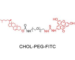 熒光素PEG膽固醇FITC-PEG-Cholesterol，F(xiàn)ITC-PEG-CLS,熒光素聚乙二醇膽固醇 