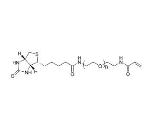 丙烯酰胺PEG生物素AcA-PEG-BIOTIN，ACA-PEG-BIOTIN,丙烯酰胺聚乙二醇生物素 