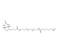 聚己內(nèi)酯PEG生物素PCL-PEG-BIOTIN，PCL-PEG-BIOTIN,聚己內(nèi)酯聚乙二醇生物素 