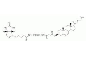 膽固醇PEG生物素Cholesterol-PEG-BIOTIN，CLS-PEG-BIOTIN,膽固醇聚乙二醇生物素 